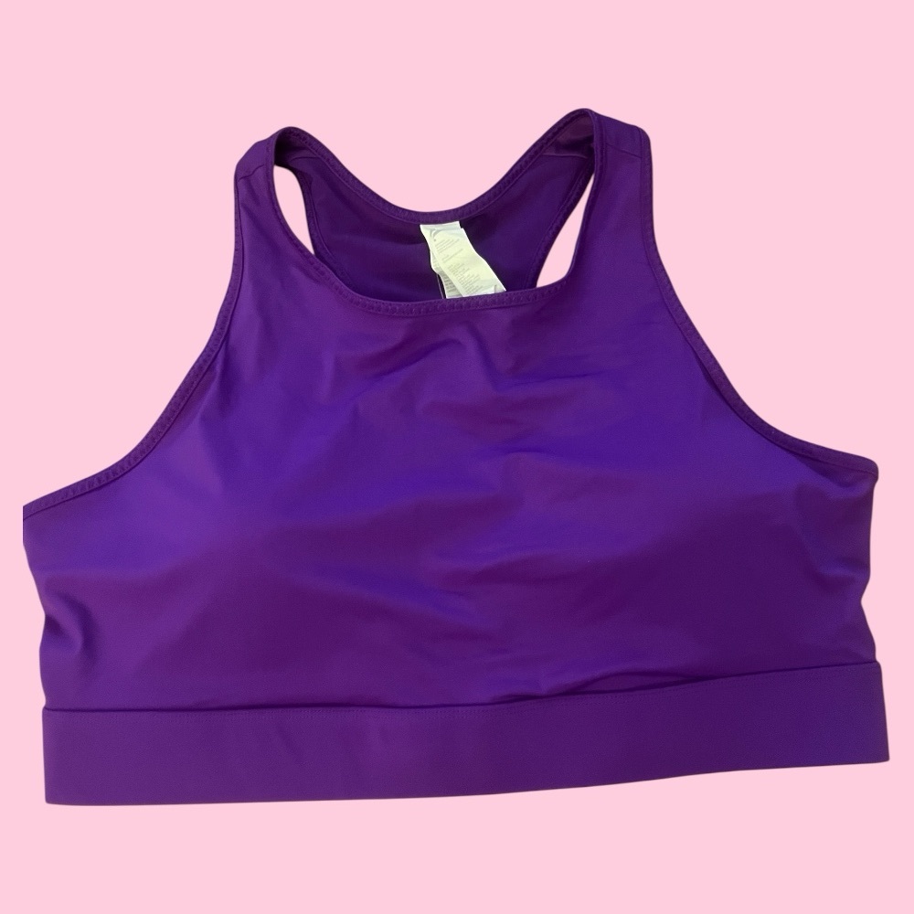 Fabletics Sports Bra Purple Plus Size 3X